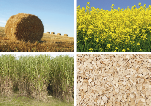 biomass