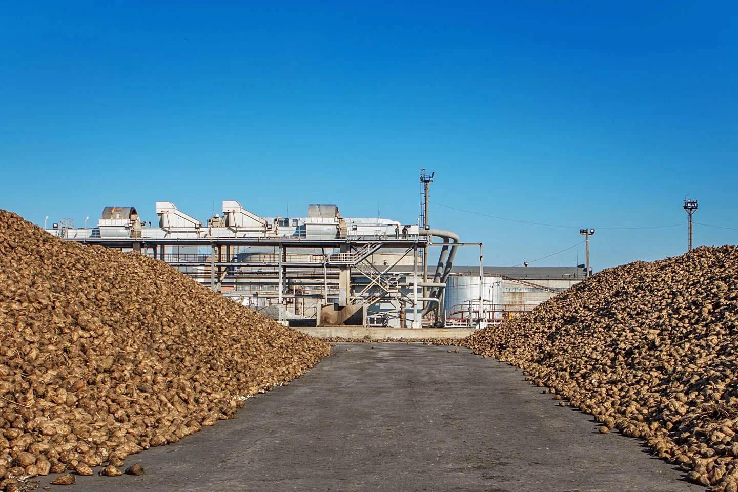 Biomass