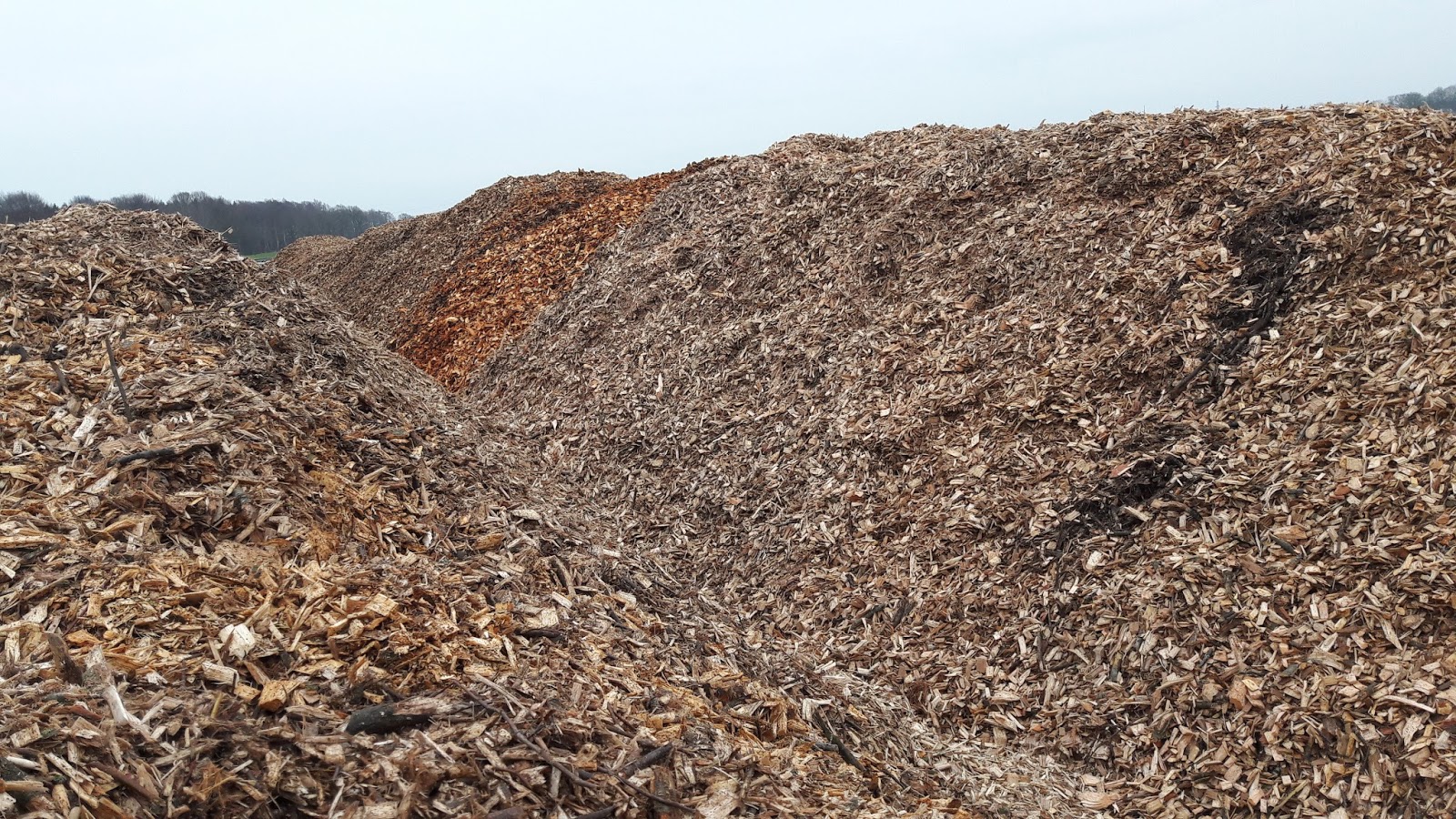 biomass
